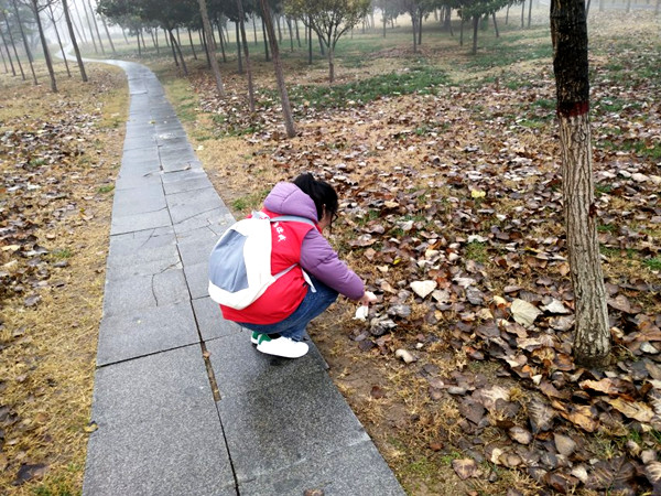 现场掠影 (1)_副本.jpg