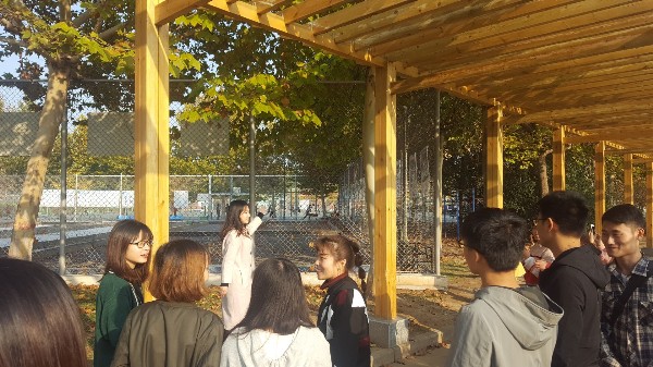 实时场景 (5)_副本.jpg