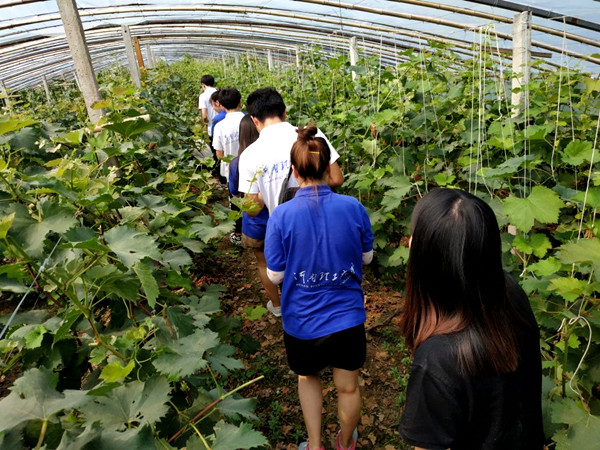 观察葡萄生长情况 陈新茹_副本.jpg