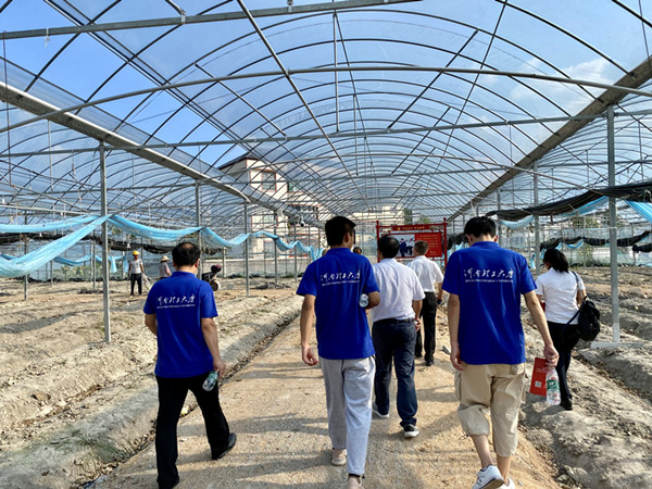 实践团赴富硒蔬菜基地考察_副本.jpg