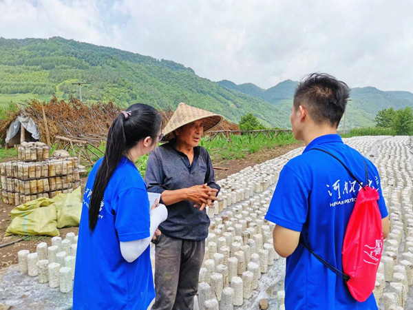孙师傅为团队成员讲解木耳种植经验 摄影 陈欢_副本.jpg