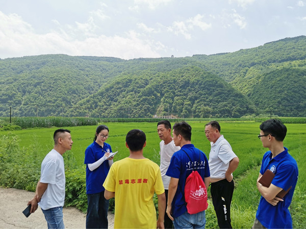 团队成员参观贾家营村水稻种植基地 摄影 陈欢_副本.jpg