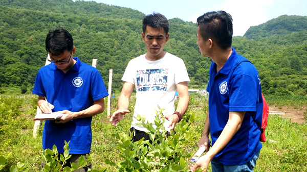 队员了解当地蓝莓种植情况 摄影 陈欢_副本.jpg