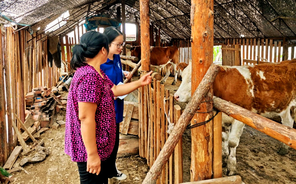 大顶子村妇女主任柳福英带领团队成员参观当地黄牛养殖基地 摄影 陈欢_副本.jpg
