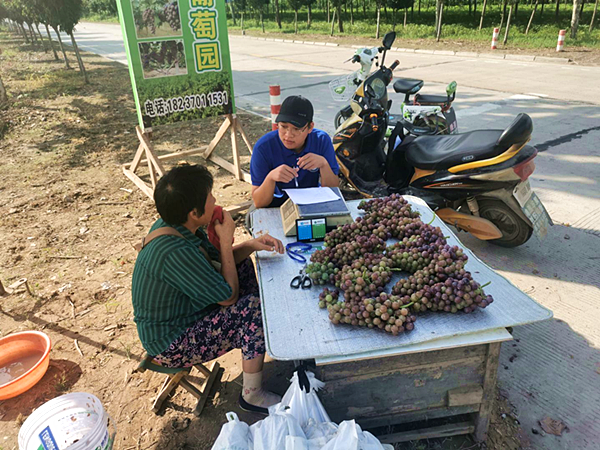 2020080303 (8)_副本.png