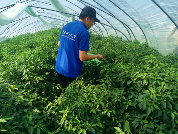 20200807 (1)_副本.jpg