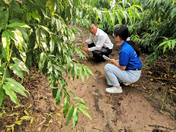 2020080502 (6)_副本.jpg