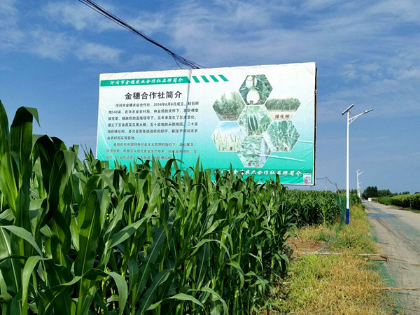 20200811 (5)_副本.jpg