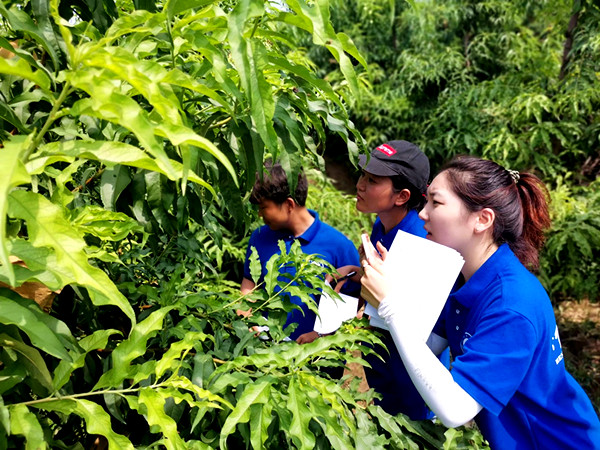 202008096 (3)_副本.jpg